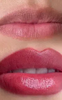 بن مژه فقط 449