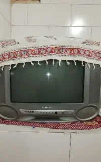 تلوزیون