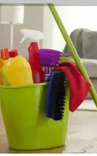 شرکت خدماتی نظافت خانم گل