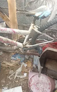 دوچرخه