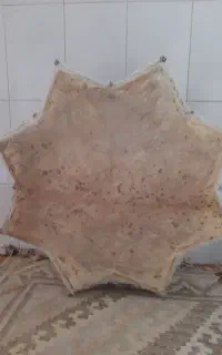 طبل پوسی ستاره‌ای