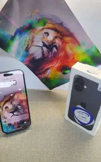 iPhone16
