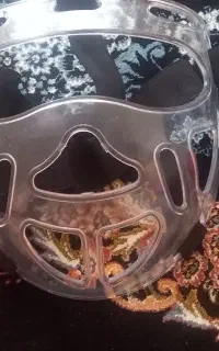نقاب ورزشی