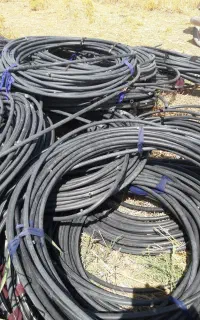 شلنگ باغ بانی