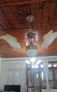 فروش لوستر طرح گلبرگ