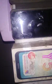 y5 2019