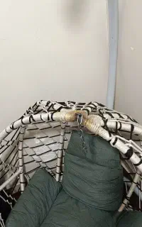 صندلی مدل تاب