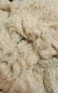 حراج الیاف
