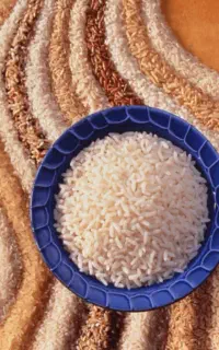 برنج تایلندی