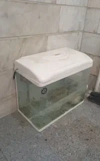 آکواریوم در حد