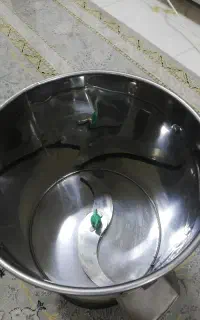 سبزی خورد کن دسینی نو نو