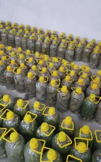 خیارشور - ترشی لیته