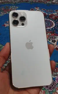 12 pro max