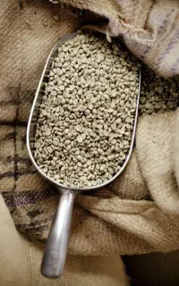 آموزش رست و برشته کاری قهوه