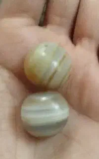 سلیمانی جفت