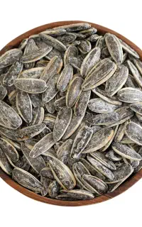 عرضه تخمه آفتابگردان درجه ۱