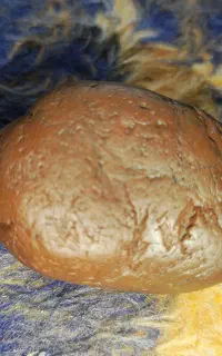 فروش ۲عددکربنادو