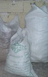 کود کبوتری