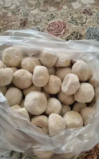 کشک محلی درجه یک