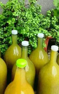 آبغوره خانگی درجه ۱