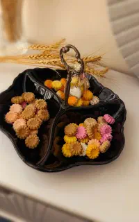 قندو نبات میوه ای ،نارگیلی،گیاهی،دمنوشی،