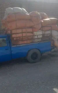 کاه نخود درجه یک یک