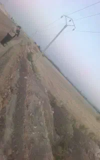کلش 140عدد به فروش میرسد