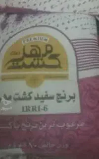 برنج کشت مهر (پاکستان)