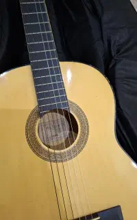 گیتار آلوارز با کاور