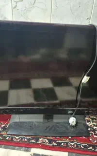 تلوزیون