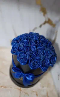 گل روبانی