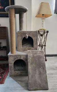 تخت و اسکرچر گربه نو
