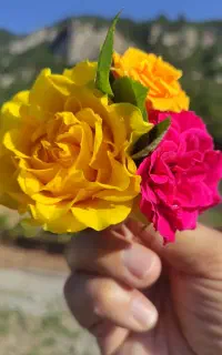 تدریس زبان...متوسطه اول و دوم