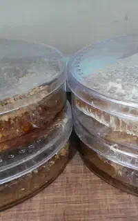 عسل موم روغن محلی رو عنوان زیتون و کنجد