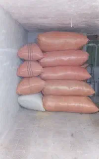 کاه