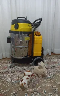 مبل شوی کیوانلو جوین نقاب جقتای