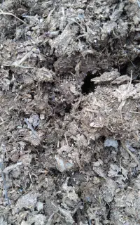 کود بار گاوی درجه یک