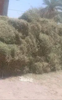 بیده پرس تراکتوری