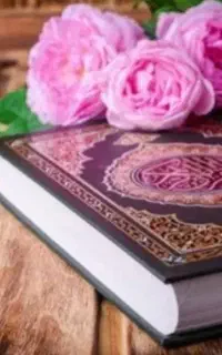 سرکتاب