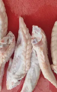 نوک بال