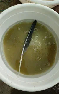 ماهی کوی
