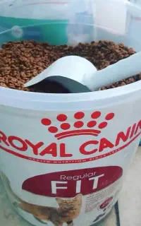پت شاپ چمستان