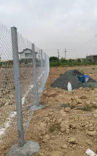 فنس کشی. دیوار چینی .درخت کاری .بنایی
