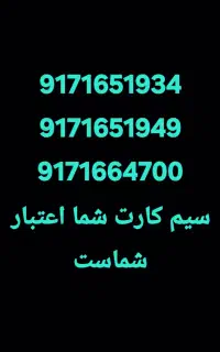 9171651934