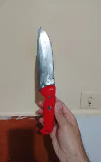 چاقو گوشت