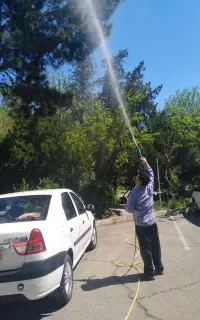 سم پاشی علف زنی کاشت گل خریدارمیوه شما روی درخت