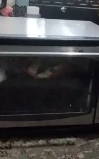 توستر