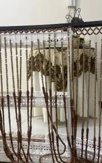 پرده مهره ای