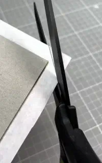 همکار خانم برا البوم سازی