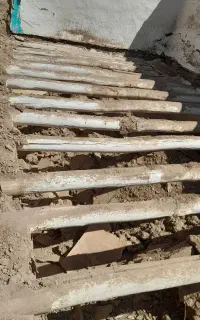 فروش چوب قلمه ازخانه کلنگی دراوردیم